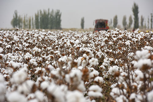 �½����l�¶��ƣ�׌��Ȼ�|���c���Ա��_�p�򱼸�